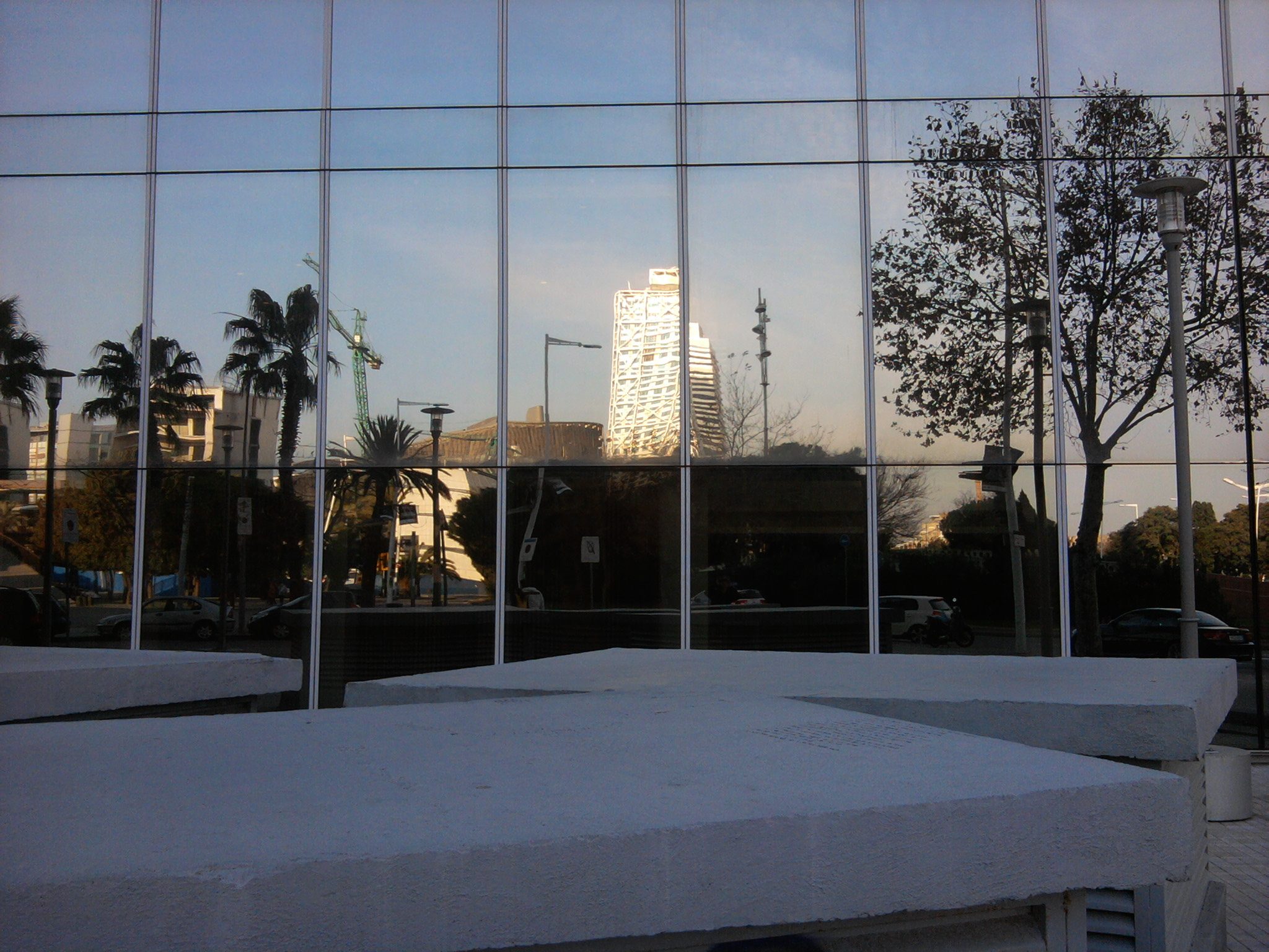 2011-12-29_15.34.05.jpg